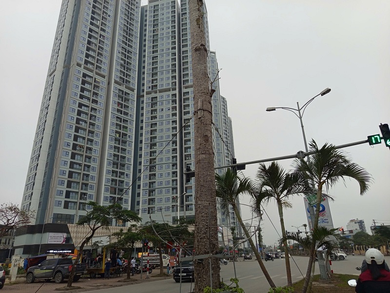 BÁN ĐẤT MẶ NGÕ 613 THIÊN LÔI, VĨNH NIỆM, LÊ CHÂN, HẢI PHÒNG - Ảnh 2